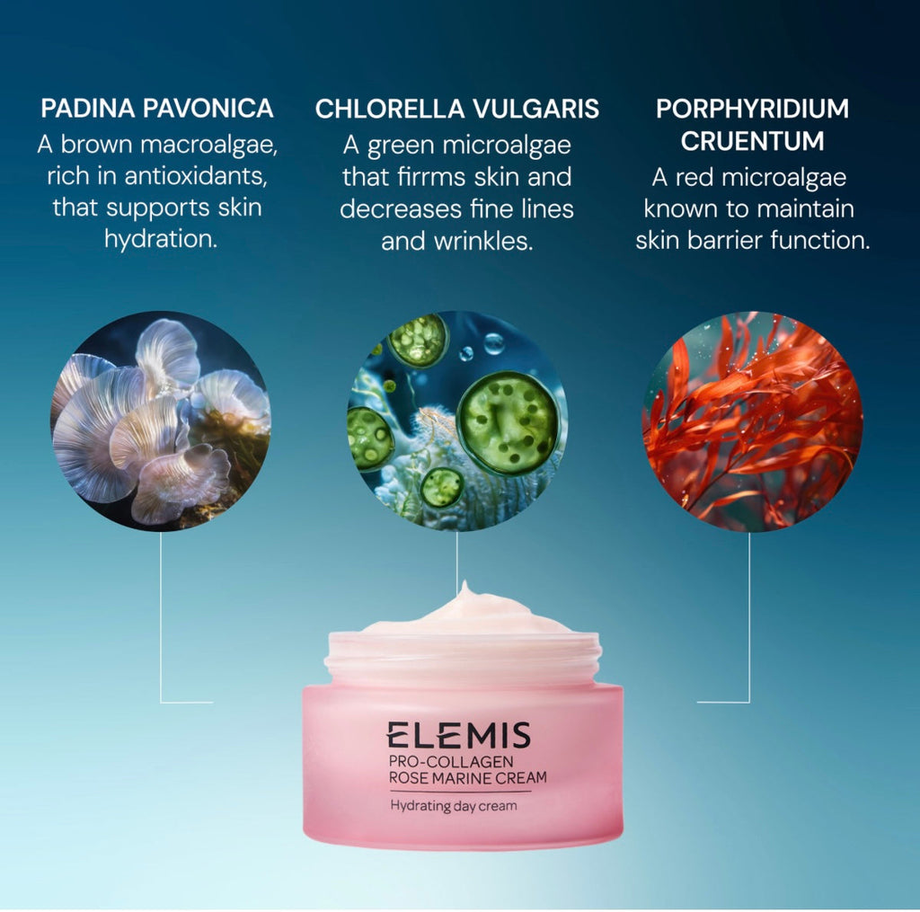 ELEMIS Pro-Collagen Rose Marine Cream 50 ml