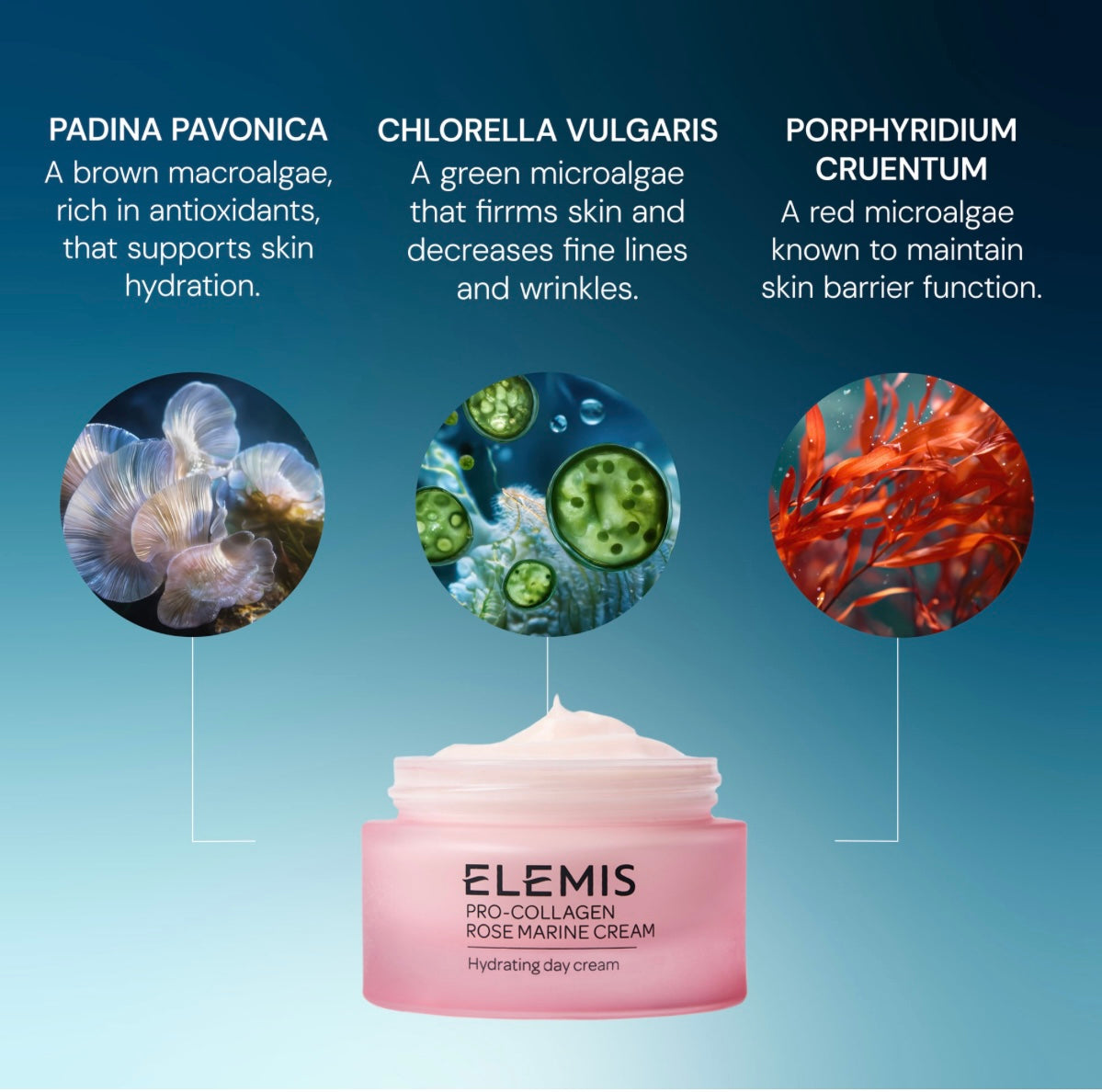 ELEMIS Pro-Collagen Rose Marine Cream 50 ml
